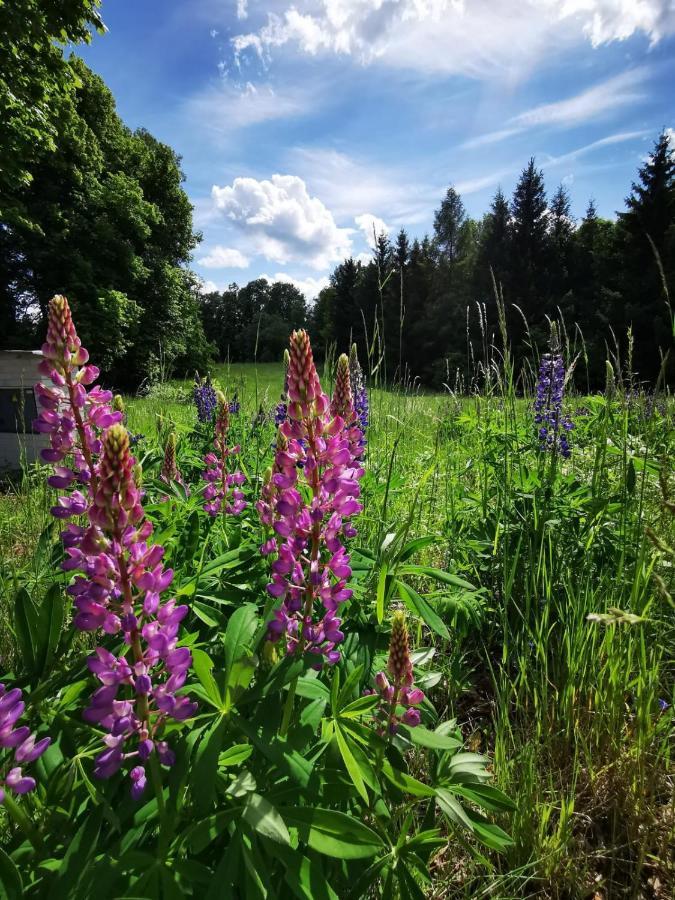 فندق Stare Mesto في  Cyklocamp Pod Landstejnem المظهر الخارجي الصورة